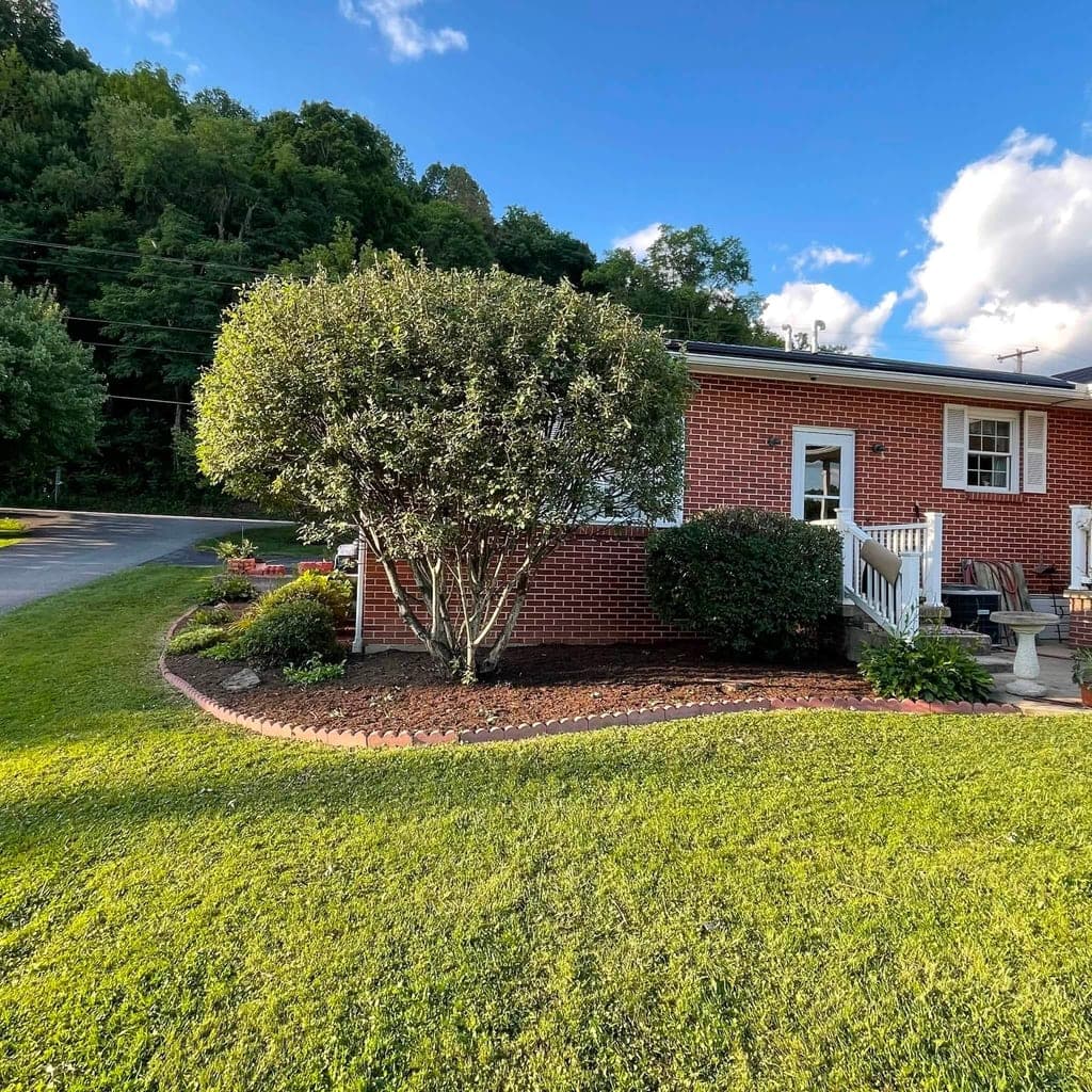 Trimmed ornamental tree and freshly installed mulch bed along a brick home